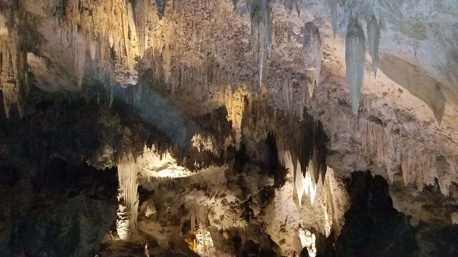 Carlsbad Caverns 